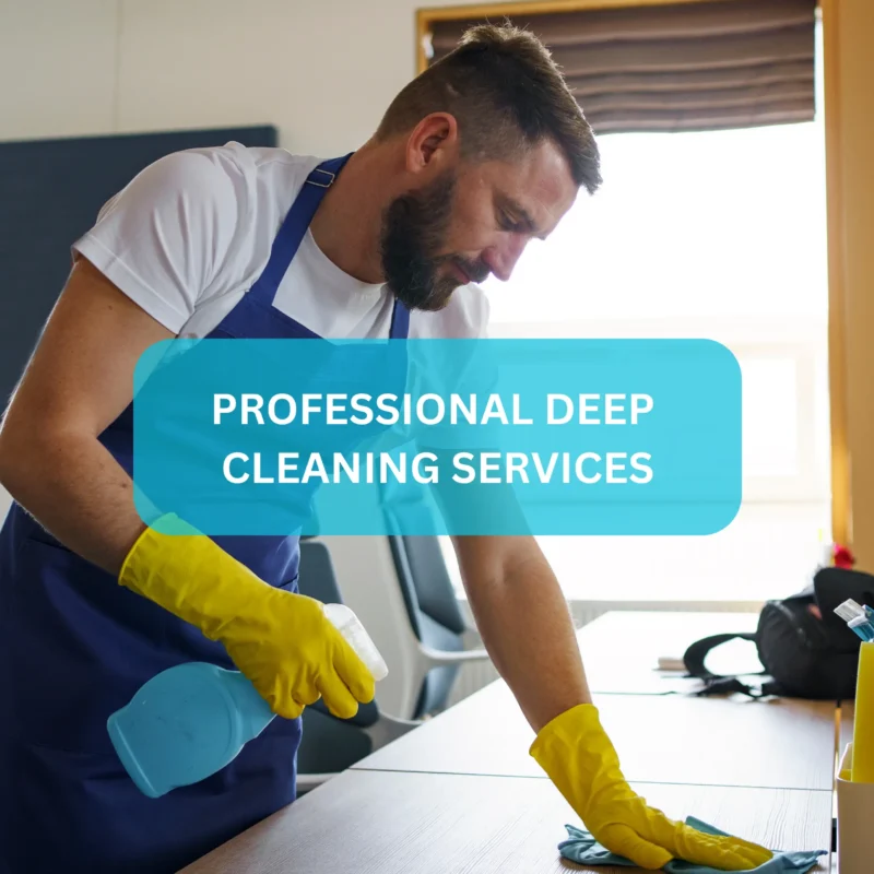 Professional Deep Cleaning Services