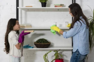 home cleaning services